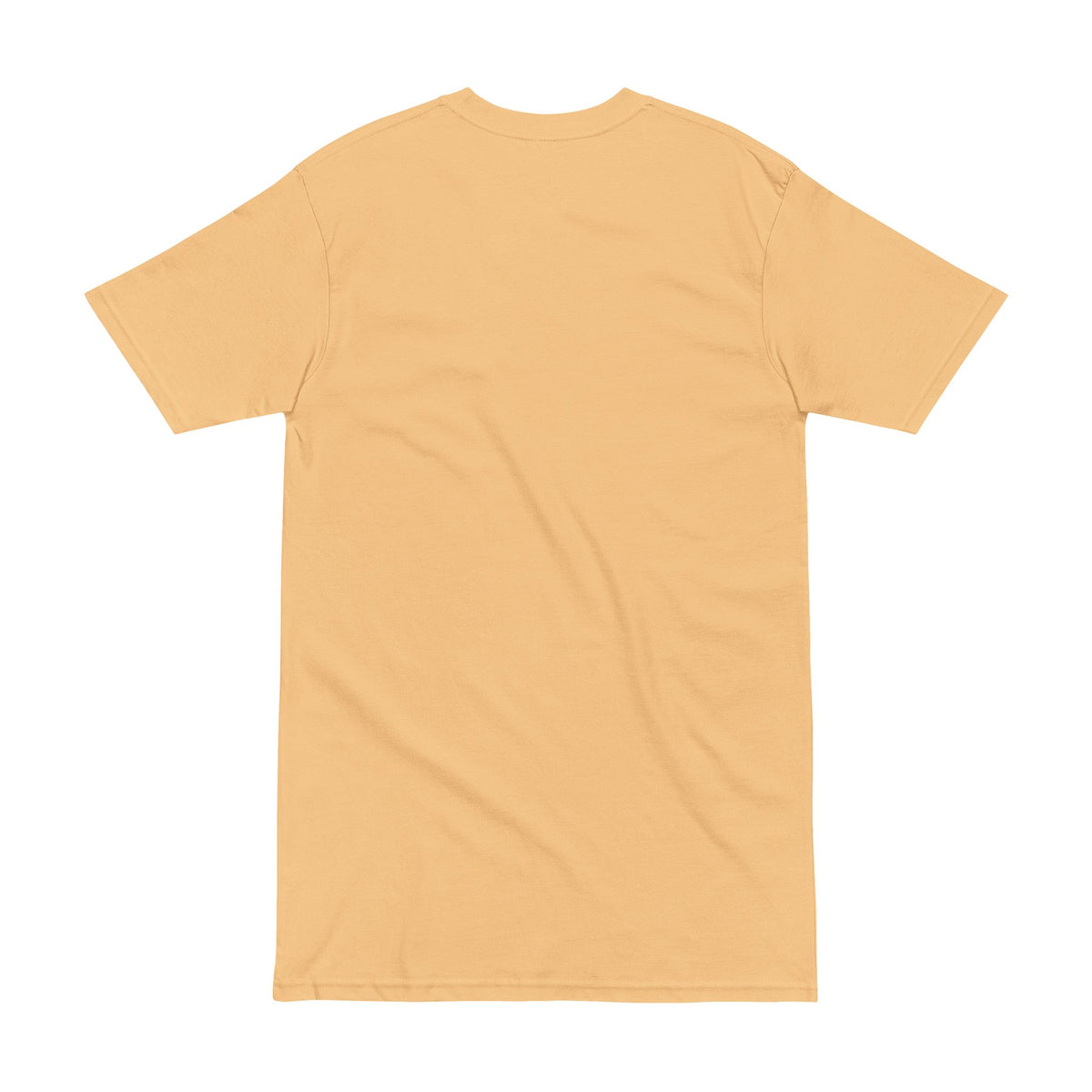 Turbo Taqdeer - Men's Heavyweight Tee